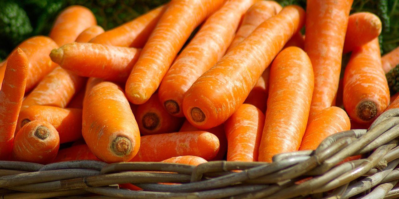 Veganismus: Zwischen Karotten-Bolognese und Auberginen-Tatar